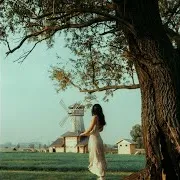 Lyubi Records — Върба/Willow